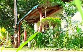 Sigiri Picaso Home Stay
