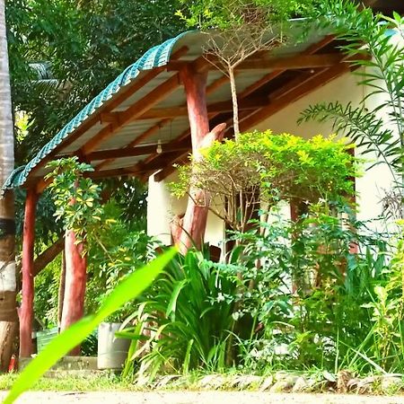 Sigiri Picaso Home Stay Sigirîya Extérieur photo