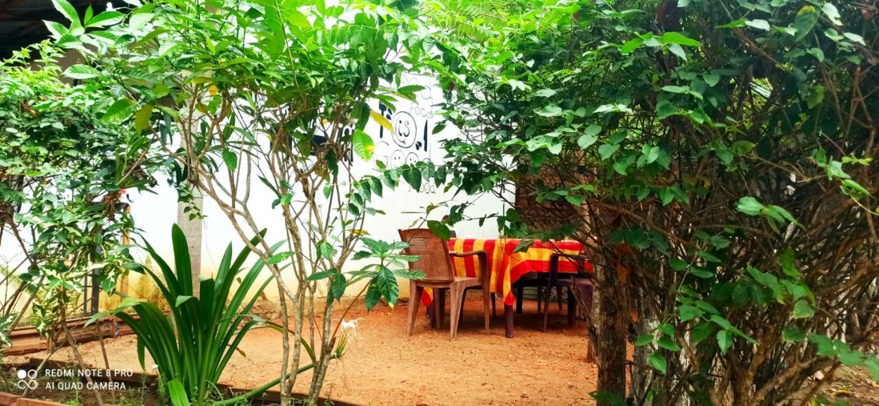 Sigiri Picaso Home Stay Sigirîya Extérieur photo