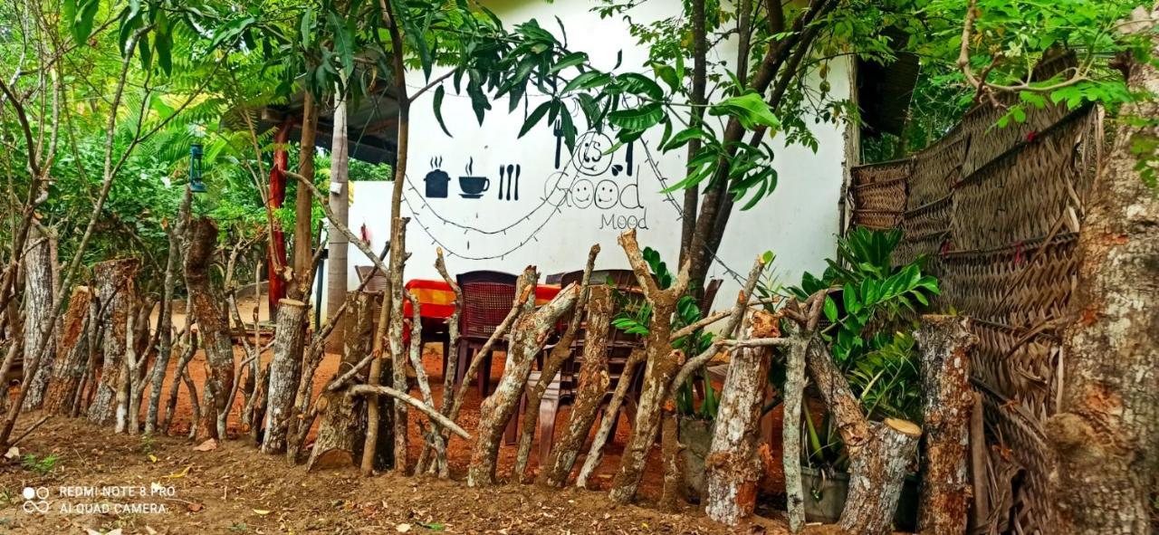 Sigiri Picaso Home Stay Sigirîya Extérieur photo