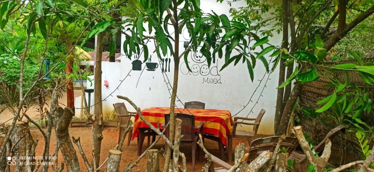Sigiri Picaso Home Stay Sigirîya Extérieur photo