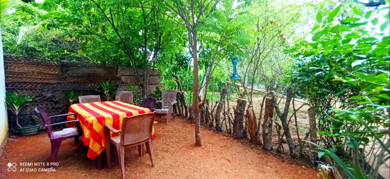 Sigiri Picaso Home Stay Sigirîya Extérieur photo