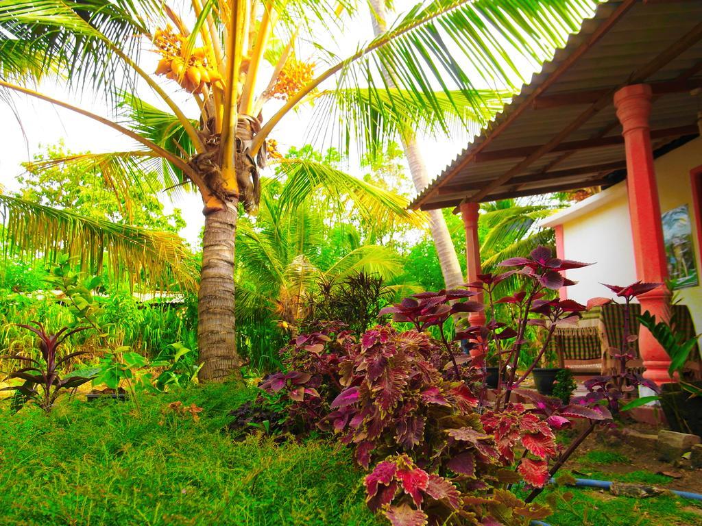 Sigiri Picaso Home Stay Sigirîya Extérieur photo