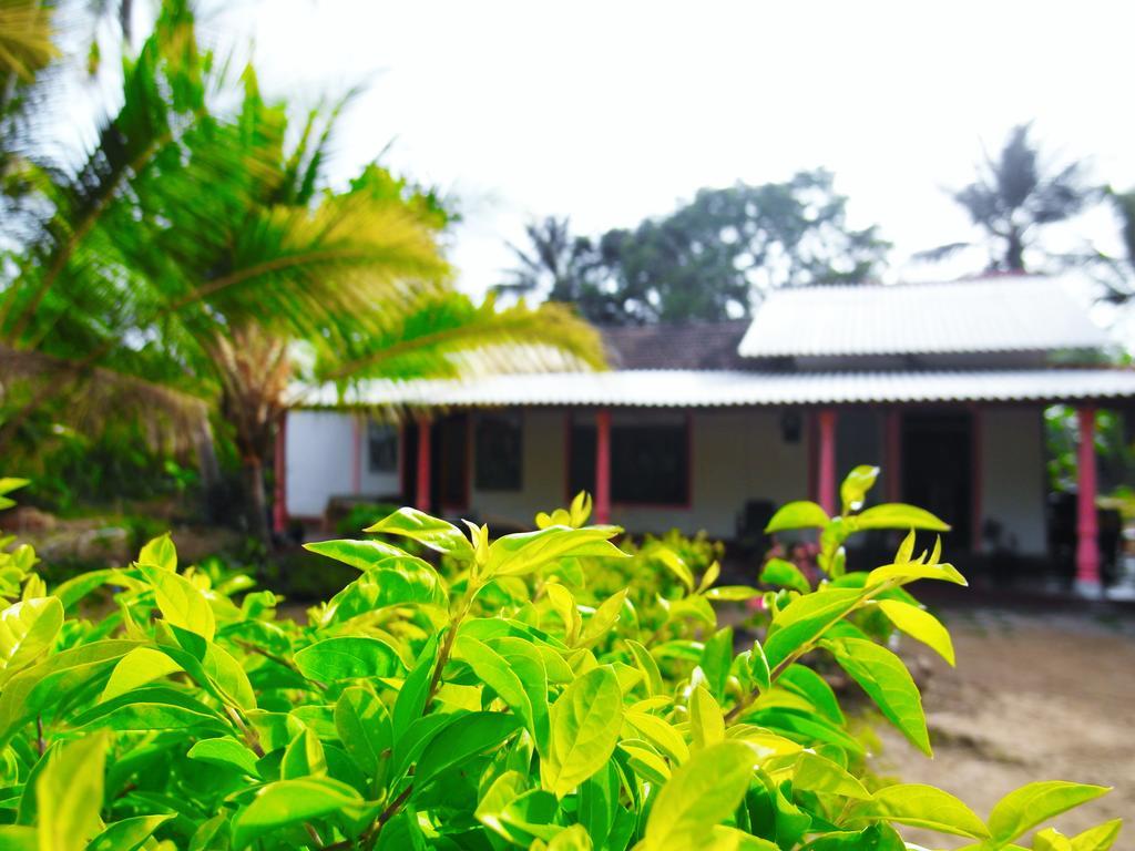 Sigiri Picaso Home Stay Sigirîya Extérieur photo