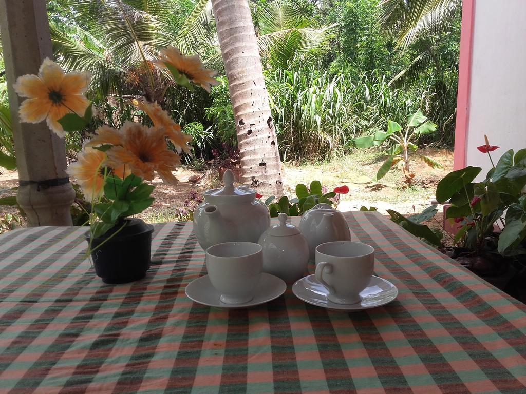 Sigiri Picaso Home Stay Sigirîya Extérieur photo