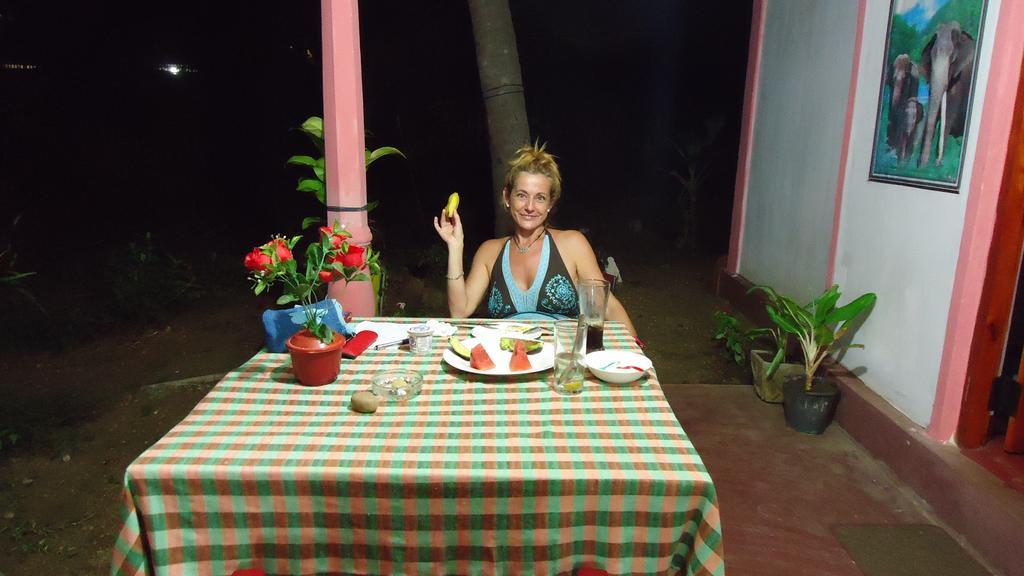 Sigiri Picaso Home Stay Sigirîya Extérieur photo