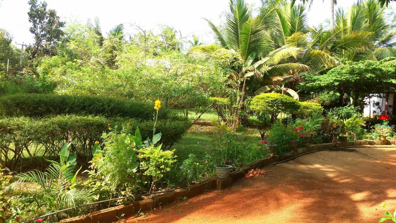 Sigiri Picaso Home Stay Sigirîya Extérieur photo