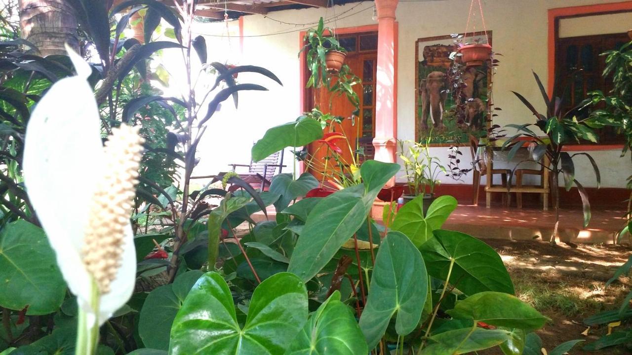 Sigiri Picaso Home Stay Sigirîya Extérieur photo