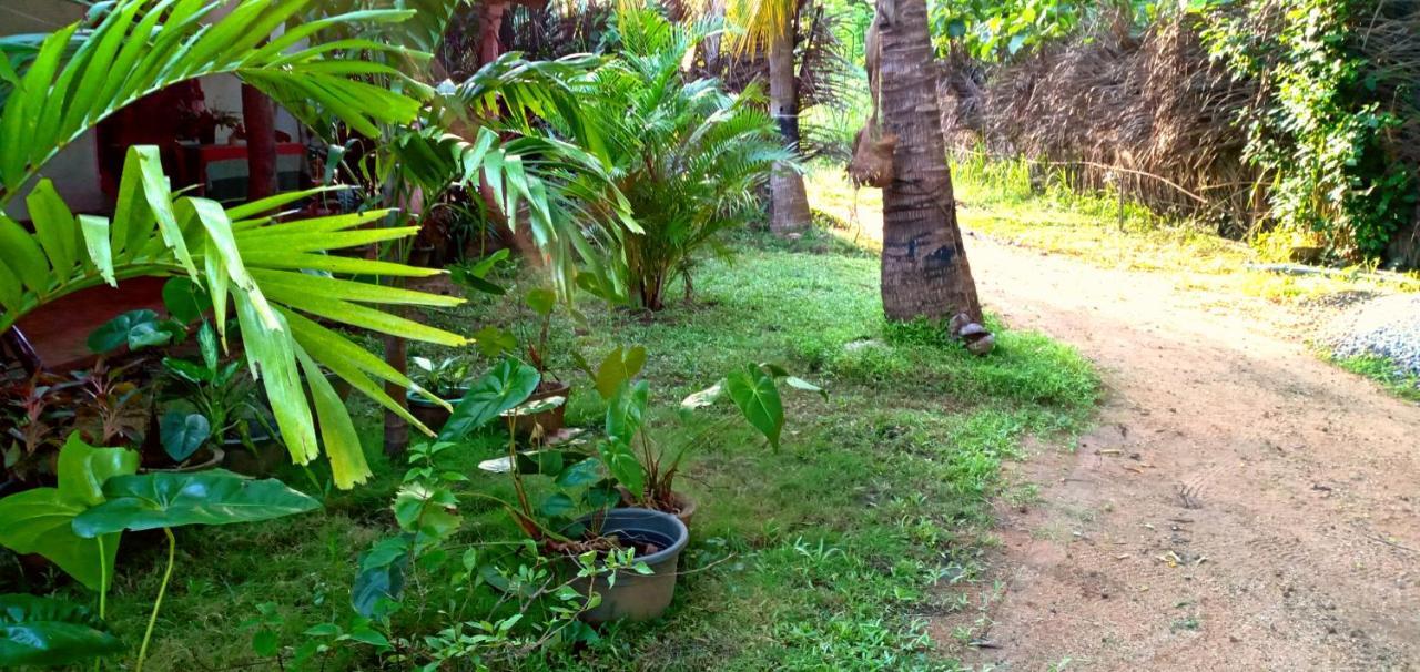 Sigiri Picaso Home Stay Sigirîya Extérieur photo