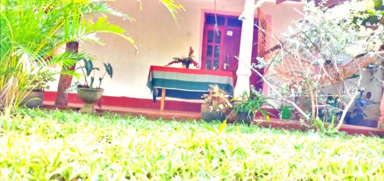 Sigiri Picaso Home Stay Sigirîya Extérieur photo