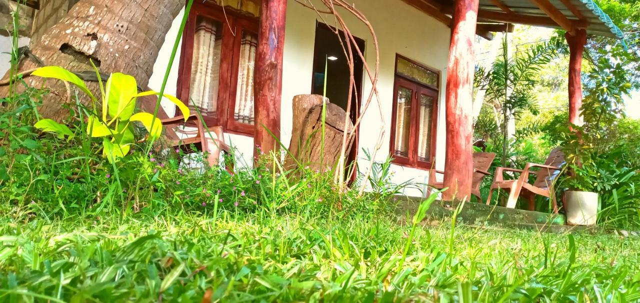Sigiri Picaso Home Stay Sigirîya Extérieur photo